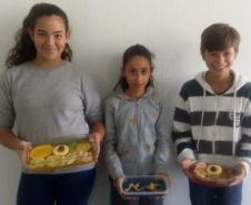 Células procarióticas, vegetal e animal