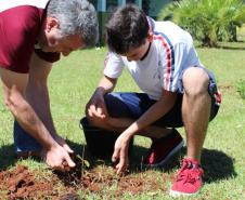 Em comemoração ao dia da árvore, Escolas do Paraná realizam o plantio de mudas nativas
