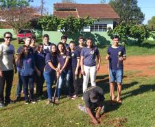 Em comemoração ao dia da árvore, Escolas do Paraná realizam o plantio de mudas nativas