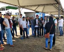 Alunos do CEEP de Laranjeiras do Sul participam do WinterShow em Entre Rios