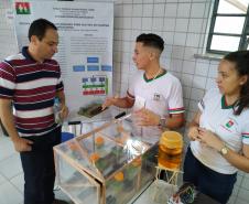 Primeiro Encontro de Tecnologia e Aprendizagem Criativa é um sucesso