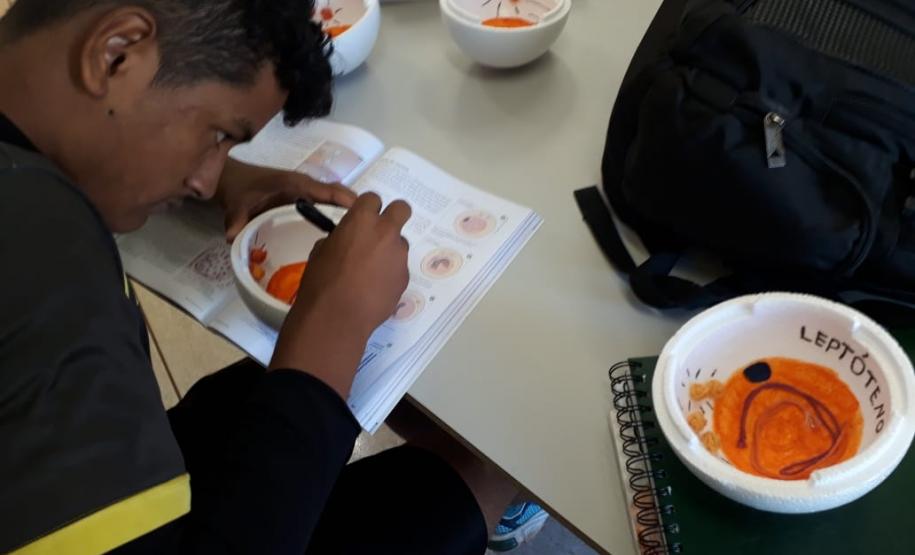 APRENDIZAGEM CRIATIVA: PROFESSOR UNE TECNOLOGIA PARA ENSINAR AS FASES DA MEIOSE