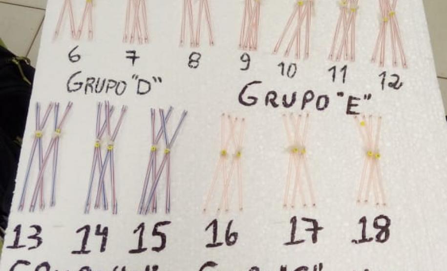 Construindo Cariótipos Construindo Cariótipos