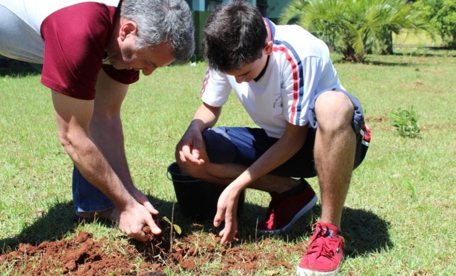 Em comemoração ao dia da árvore, Escolas do Paraná realizam o plantio de mudas nativas